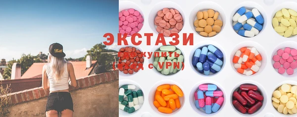 стаф Новосибирск