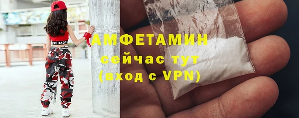 прущие грибы Ессентукская