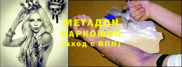 стаф Новосибирск