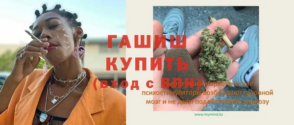 стаф Новосибирск