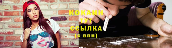 прущие грибы Ессентукская