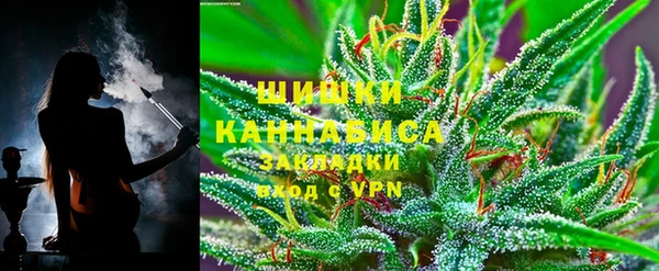 прущие грибы Ессентукская