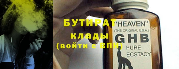 стаф Новосибирск