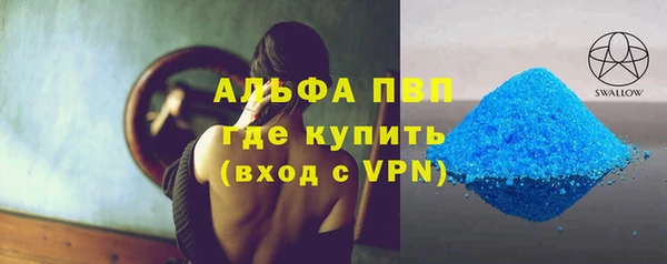 прущие грибы Ессентукская