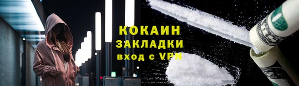 прущие грибы Ессентукская