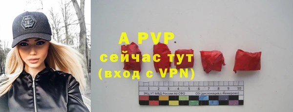 прущие грибы Ессентукская