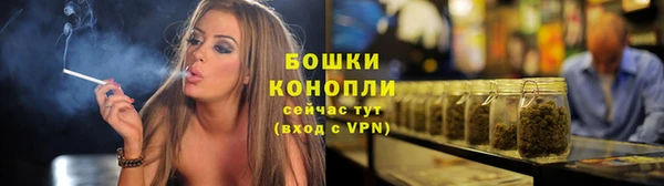 прущие грибы Ессентукская