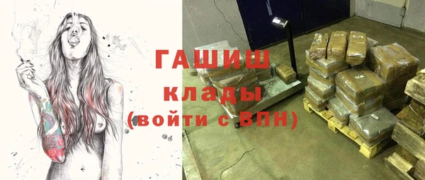 прущие грибы Ессентукская