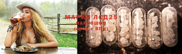 стаф Новосибирск