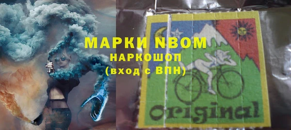 прущие грибы Ессентукская