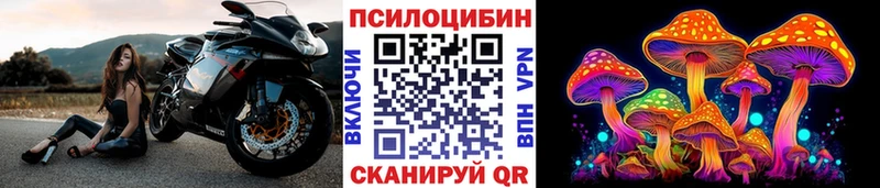 Галлюциногенные грибы Psilocybe Саратов